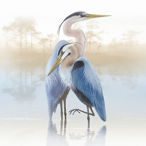 Misty Plumage II Art Print