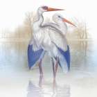 Misty Plumage III Art Print