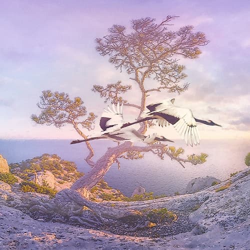 Mountain Crane I Art Print