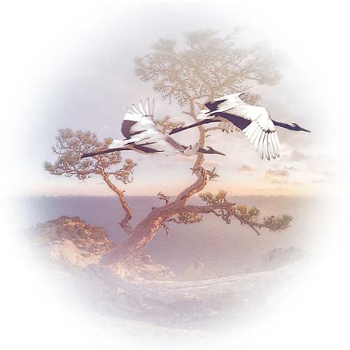 Mountain Crane II Art Print
