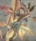 Ancient Autumn I Art Print