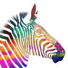 Rainbow Zebra Art Print