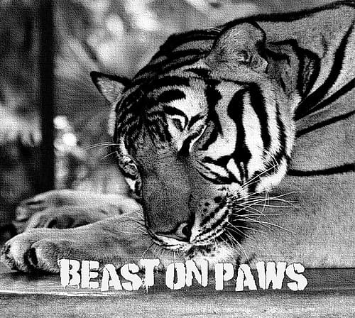 Beast on Paws Art Print by Karen Smith