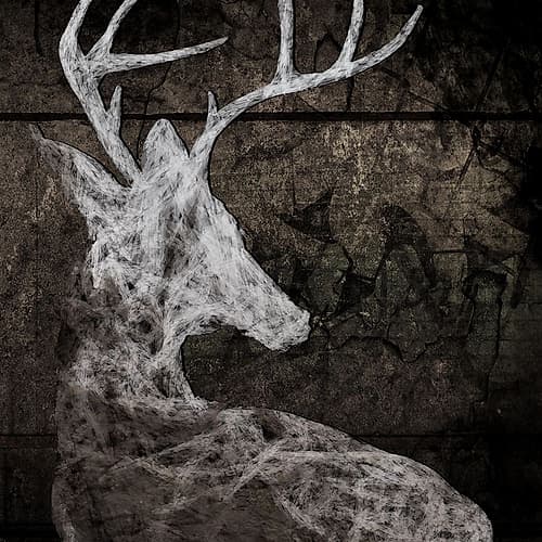 Wild One II Art Print by Anthony Smith