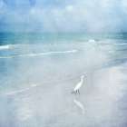 Coastal Beach Watercolor  Landscape Egret Sea Bird II