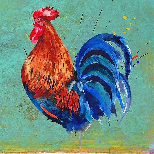 ChicChick II Art Print