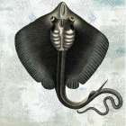 Oceaniana I Art Print