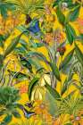 The Jungle of the Birds Art Print