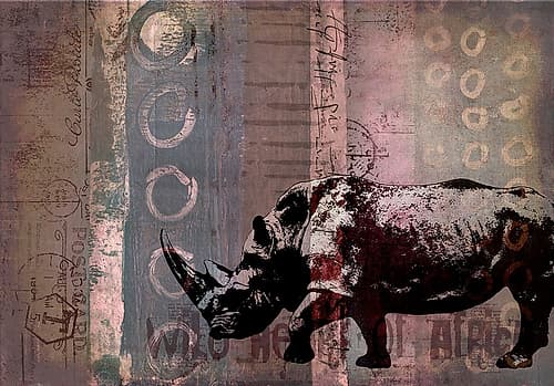 Rhino Wild Africa I Art Print
