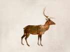 Wild Deer Art Print