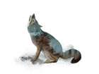 Wild Fox White Art Print