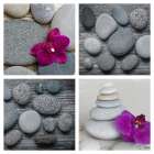 Zen Orchid Collage Still Life Print