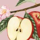 JuiceyFruit IV Still Life Print