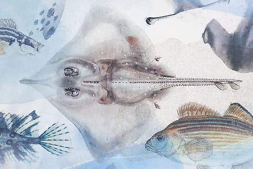 Deep Sea IV Art Print