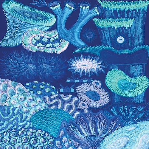 Ocean Blue II Art Print