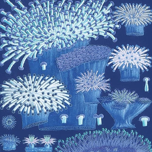Ocean Blue IV Art Print