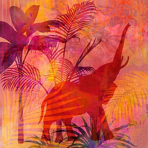 Elephant of Africa Art Print