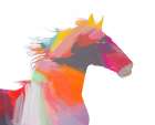 Color Wrapped Horse III Art Print