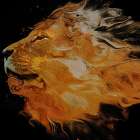 Fiery Beast Art Print