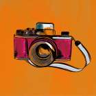 Snapshot I Vintage Print