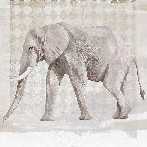 Ellie II Art Print
