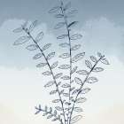 High Leaf I Art Print