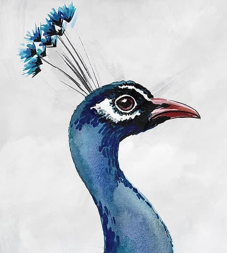Long Neck II Art Print