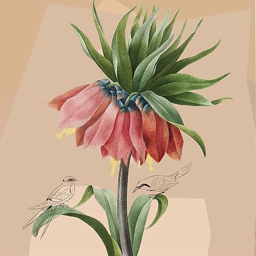 Shelter I Art Print by Karen Smith