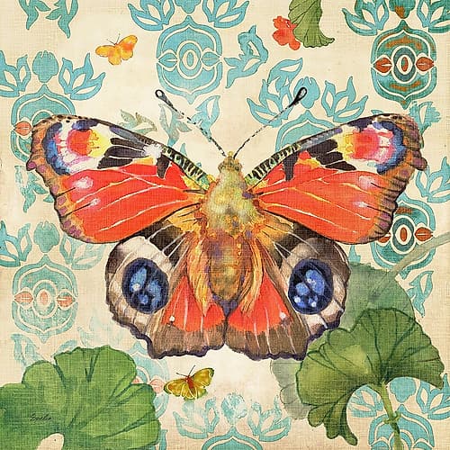 European Peacock Butterfly Art Print