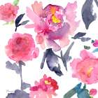 Pink Peonies I Art Print