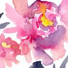 Pink Peonies II Art Print
