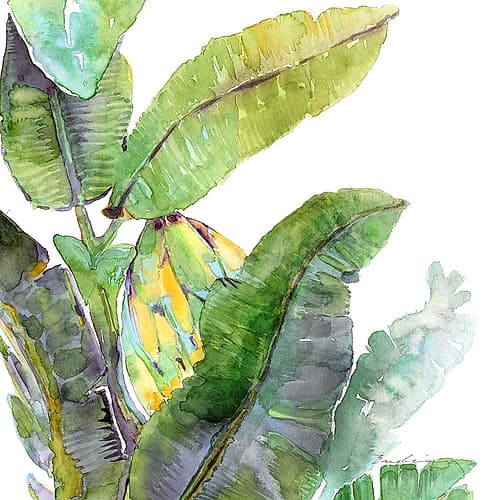 Banana Leaves One Nature Print