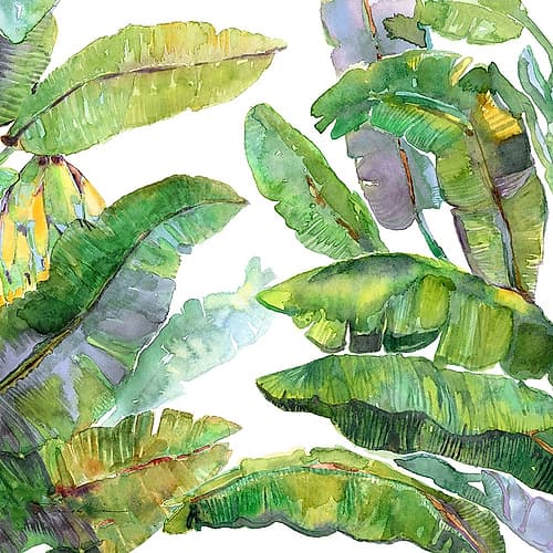 Tahitian Treat Nature Print