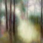 Whispers in the Wind Art Print