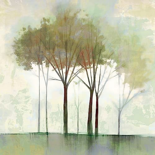 Evergreen Memories Art Print