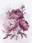 Blush Pink Peonies Nostalgia II Art Print