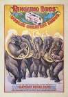 Funky Poster VII Art Print