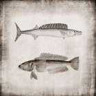 Vintage Sea Dwellers I Bathroom Art Print