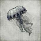 Floating Ocean Beauty II Bathroom Art Print