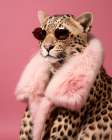 Cheetah Chic Art Print
