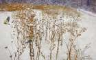 Goldfinches in Snow Art Print