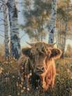 Highland Bovine III Art Print