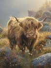 Highland Bovine IV Art Print
