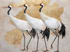 Crane Style Art Print