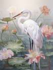 Virtuous Plumage II Art Print