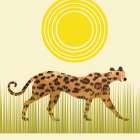 Africa III Art Print