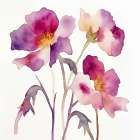 Jewel Blooms Ii Art Print