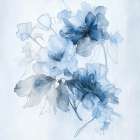 Blue Petal Dance Ii Art Print