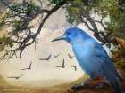 Pinon Jays Art Print