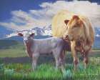 Cow and Calf in the Mountains Art Print